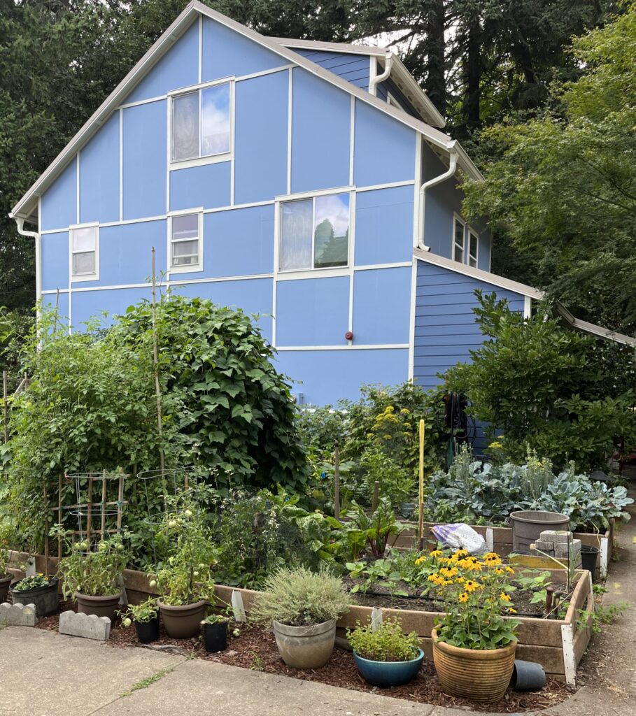 house from East with community garden